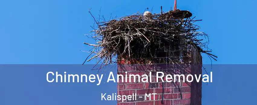 Chimney Animal Removal Kalispell - MT