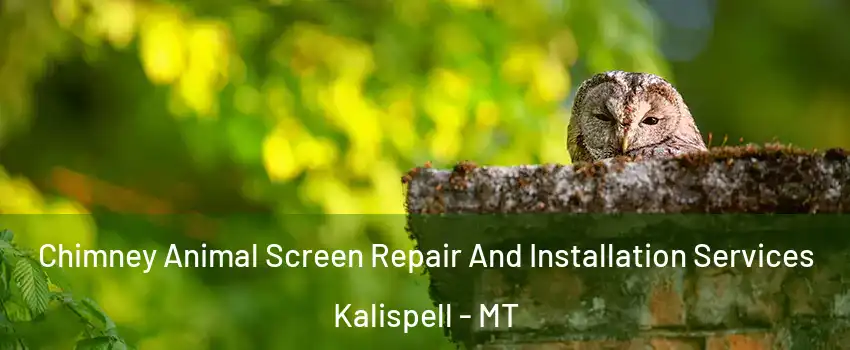  Chimney Animal Screen Repair And Installation Services Kalispell - MT
