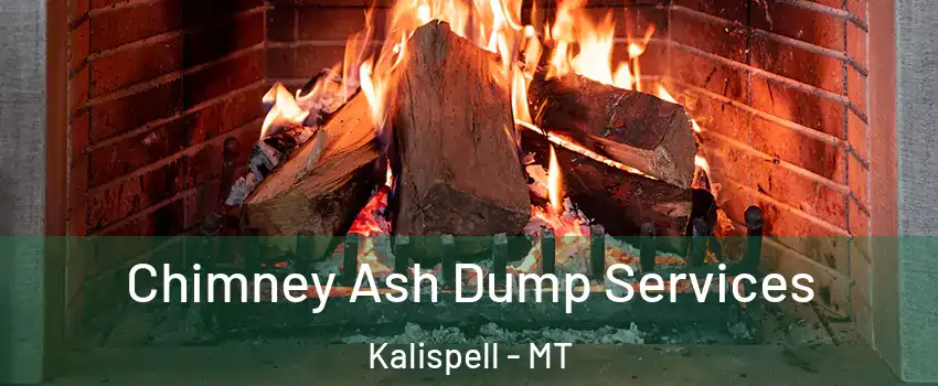  Chimney Ash Dump Services Kalispell - MT