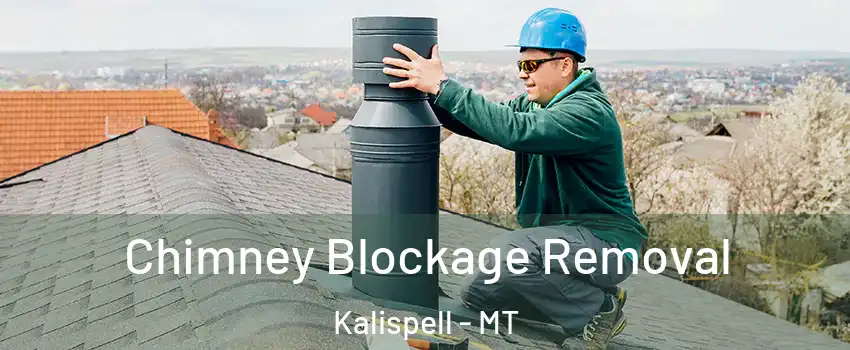  Chimney Blockage Removal Kalispell - MT