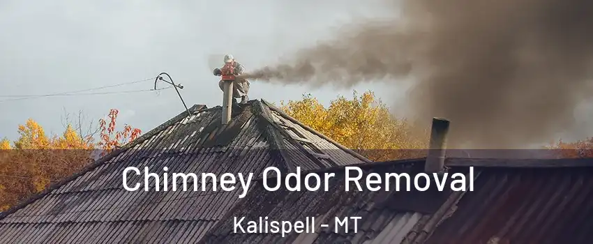  Chimney Odor Removal Kalispell - MT