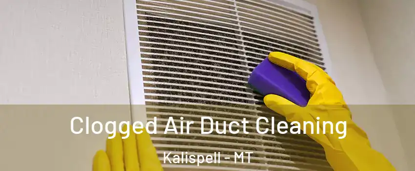  Clogged Air Duct Cleaning Kalispell - MT
