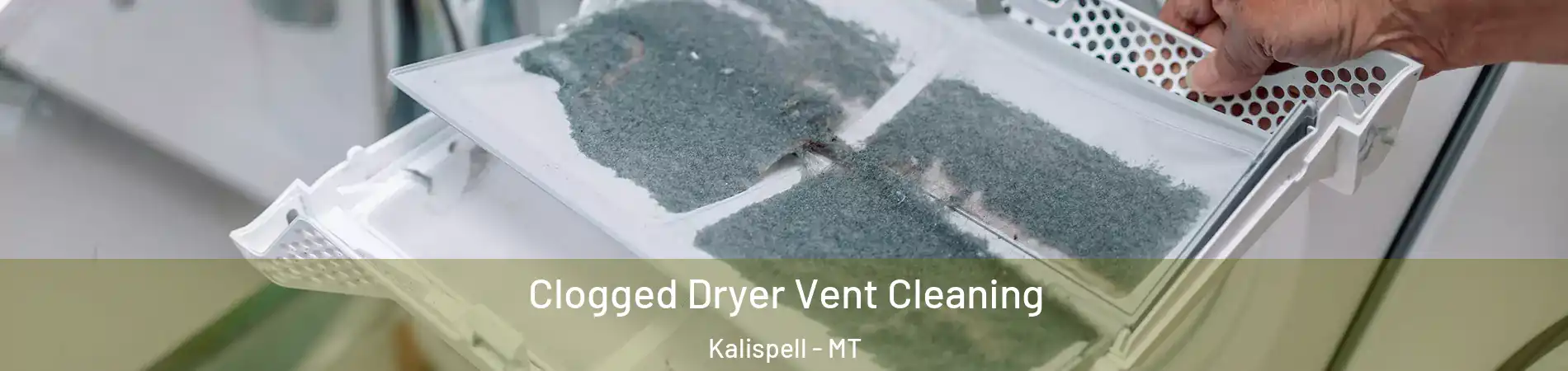  Clogged Dryer Vent Cleaning Kalispell - MT