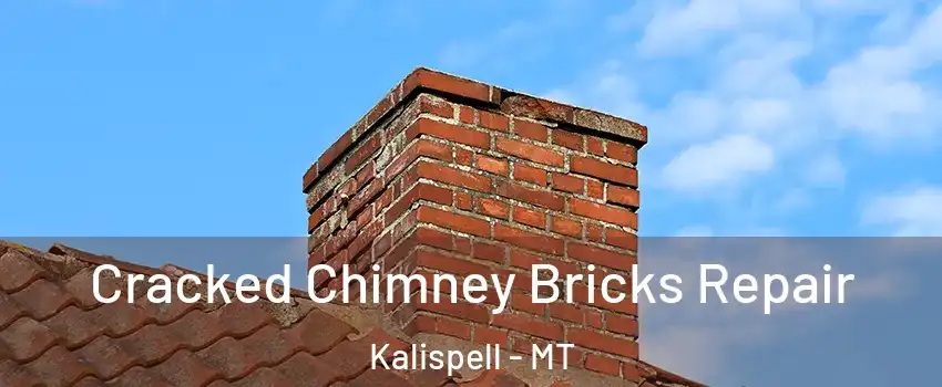  Cracked Chimney Bricks Repair Kalispell - MT