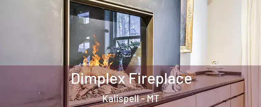  Dimplex Fireplace Kalispell - MT