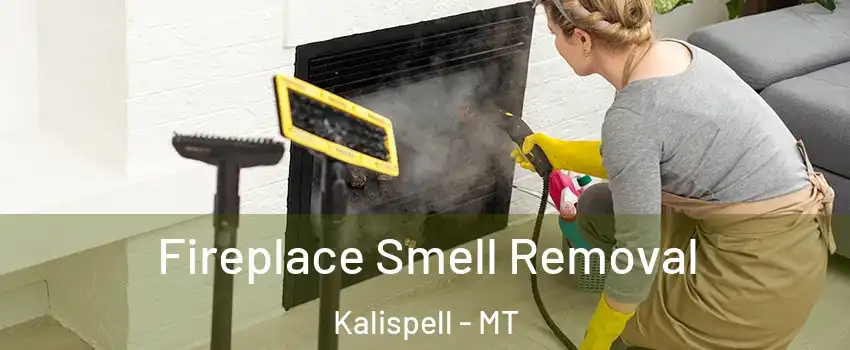  Fireplace Smell Removal Kalispell - MT
