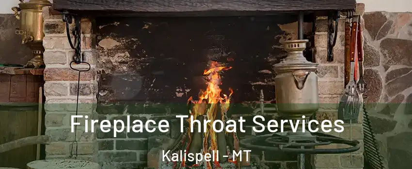  Fireplace Throat Services Kalispell - MT