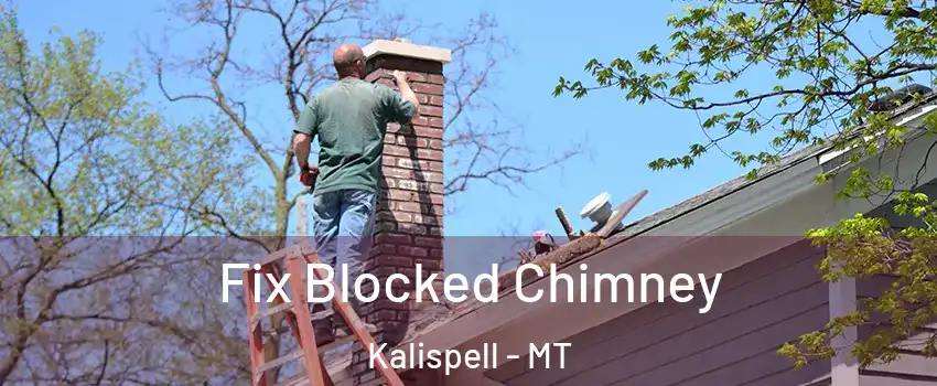  Fix Blocked Chimney Kalispell - MT