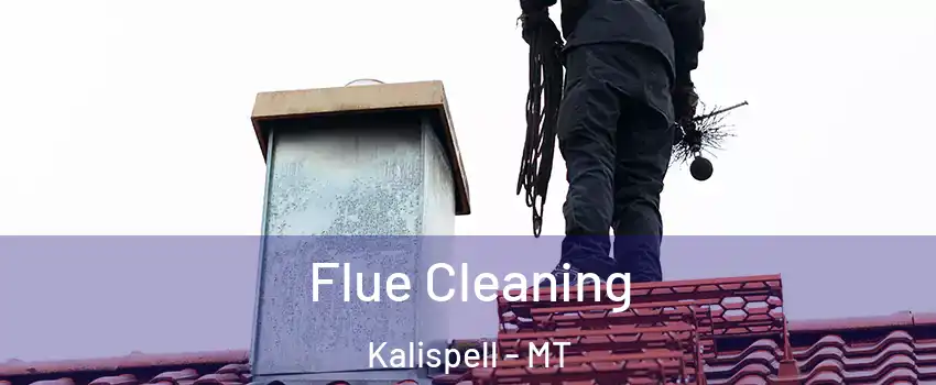  Flue Cleaning Kalispell - MT