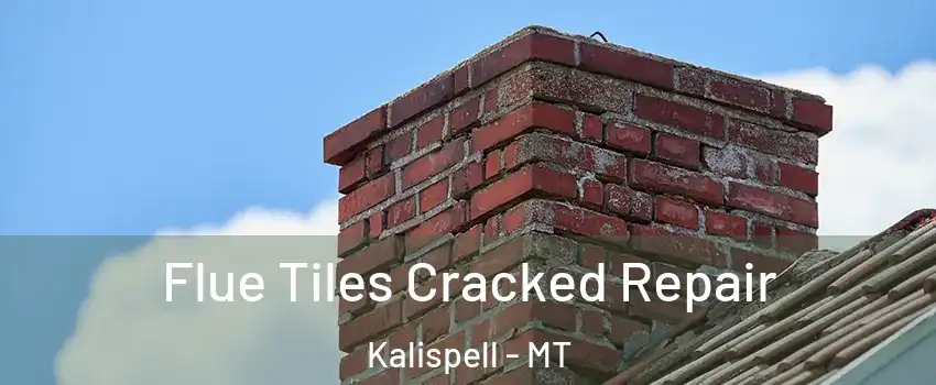  Flue Tiles Cracked Repair Kalispell - MT