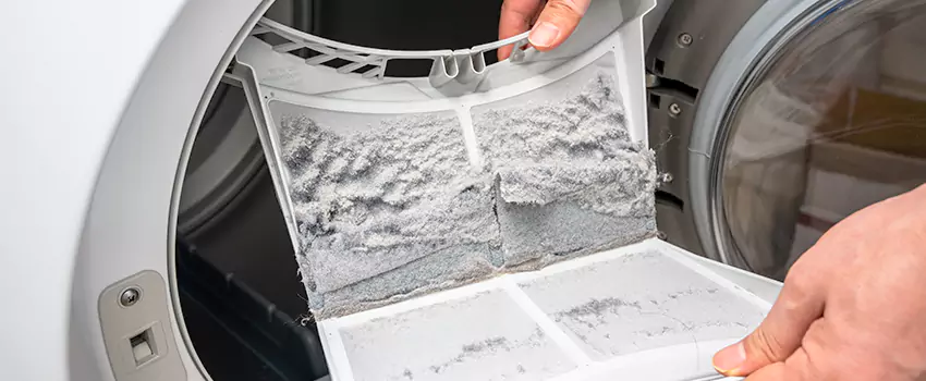 Best Dryer Lint Removal Company in Kalispell, Montana