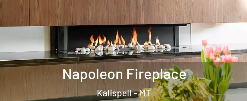  Napoleon Fireplace Kalispell - MT