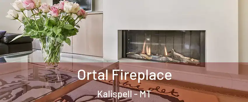 Ortal Fireplace Kalispell - MT